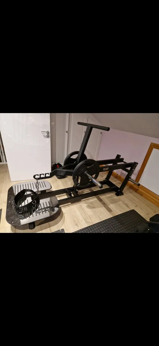 Belt Squat - Image 1