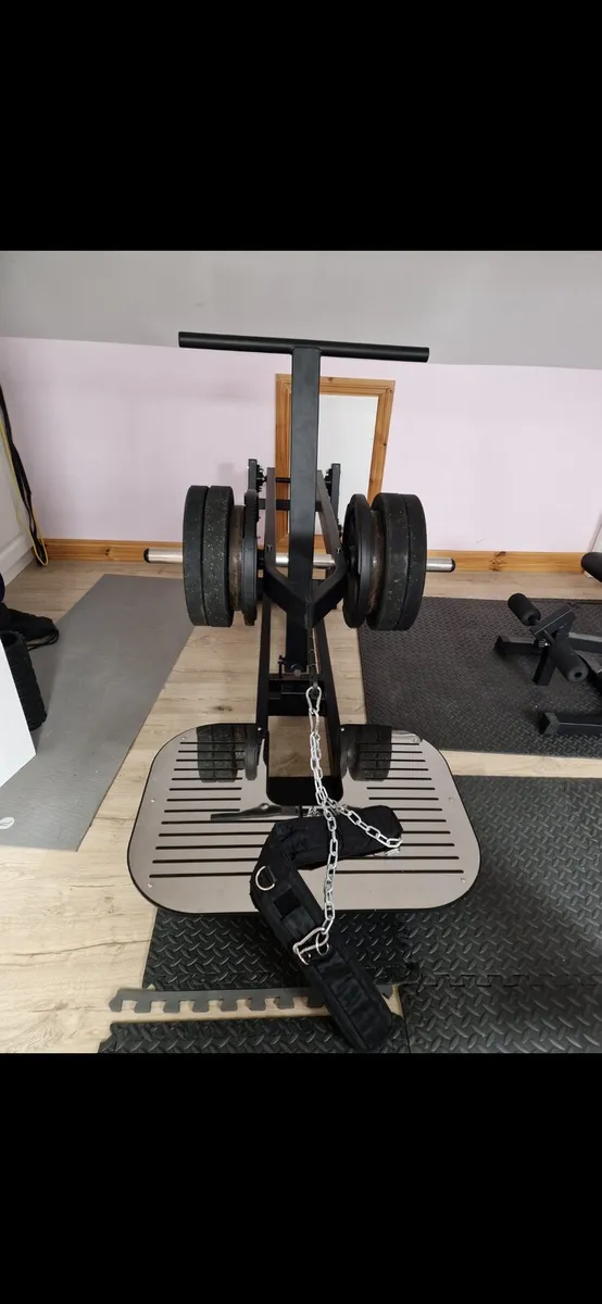 Belt Squat - Image 3