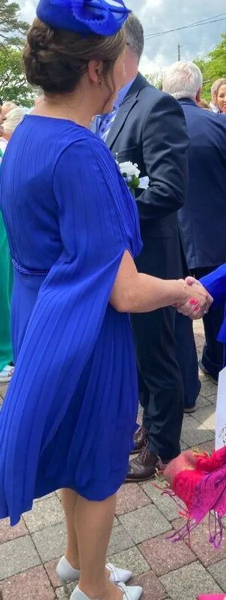 Mother of the Bride Dress and Fascinator - Image 4