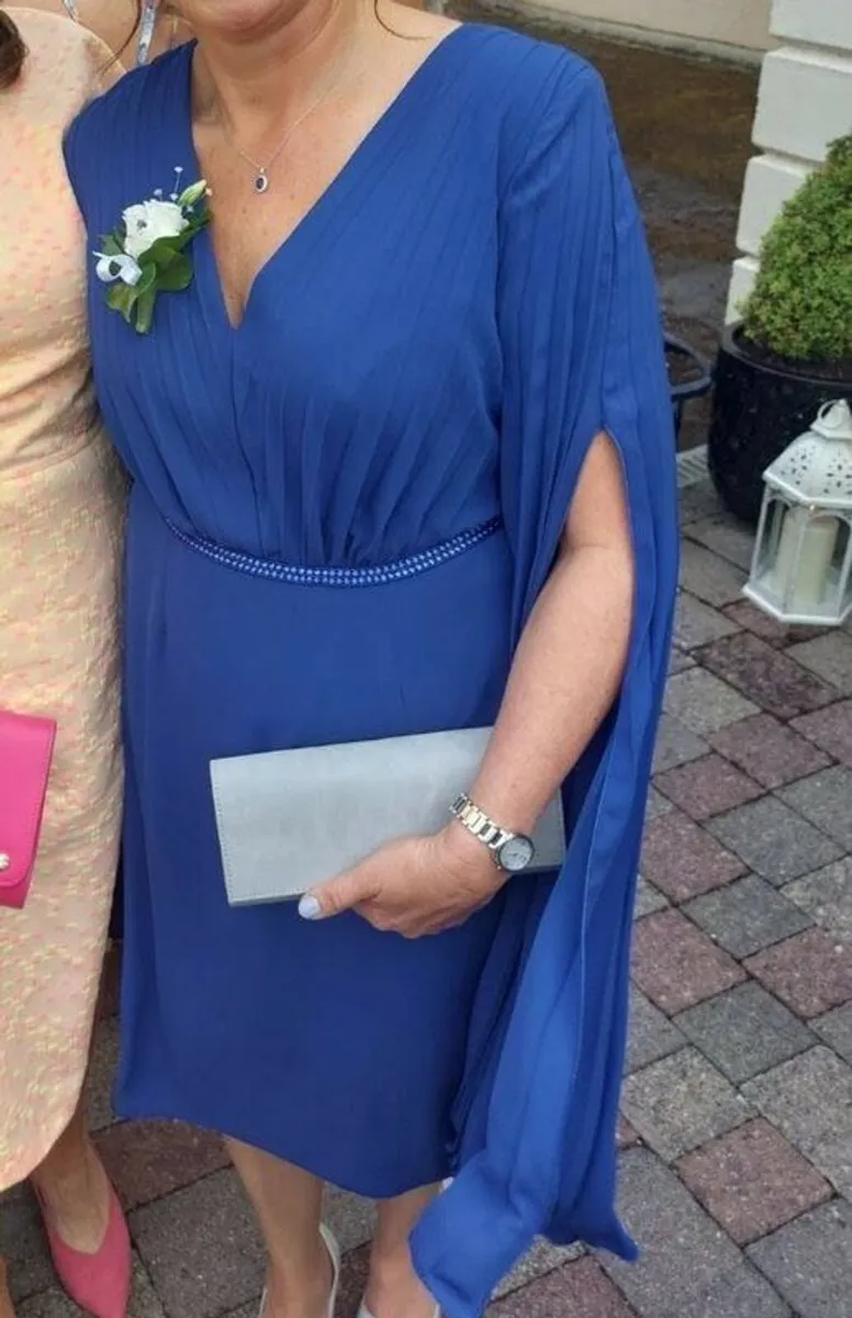 Mother of the Bride Dress and Fascinator - Image 1