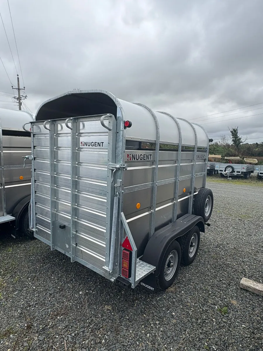 New Nugent Cattle Trailer 8x5 - Image 2