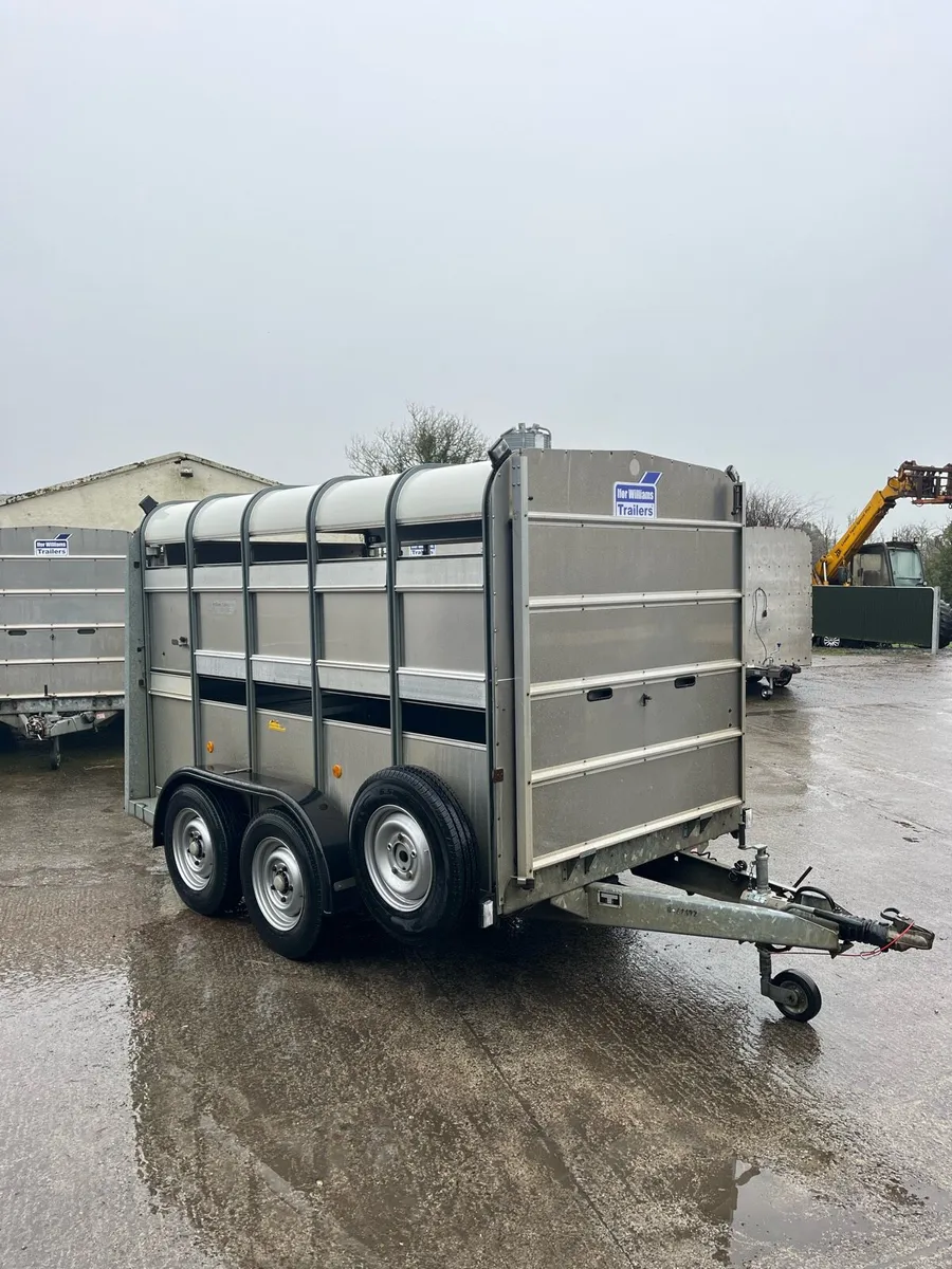 CJS Ifor Williams Sheep Trailer - Image 1