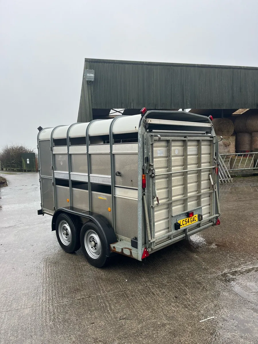CJS Ifor Williams Sheep Trailer - Image 4