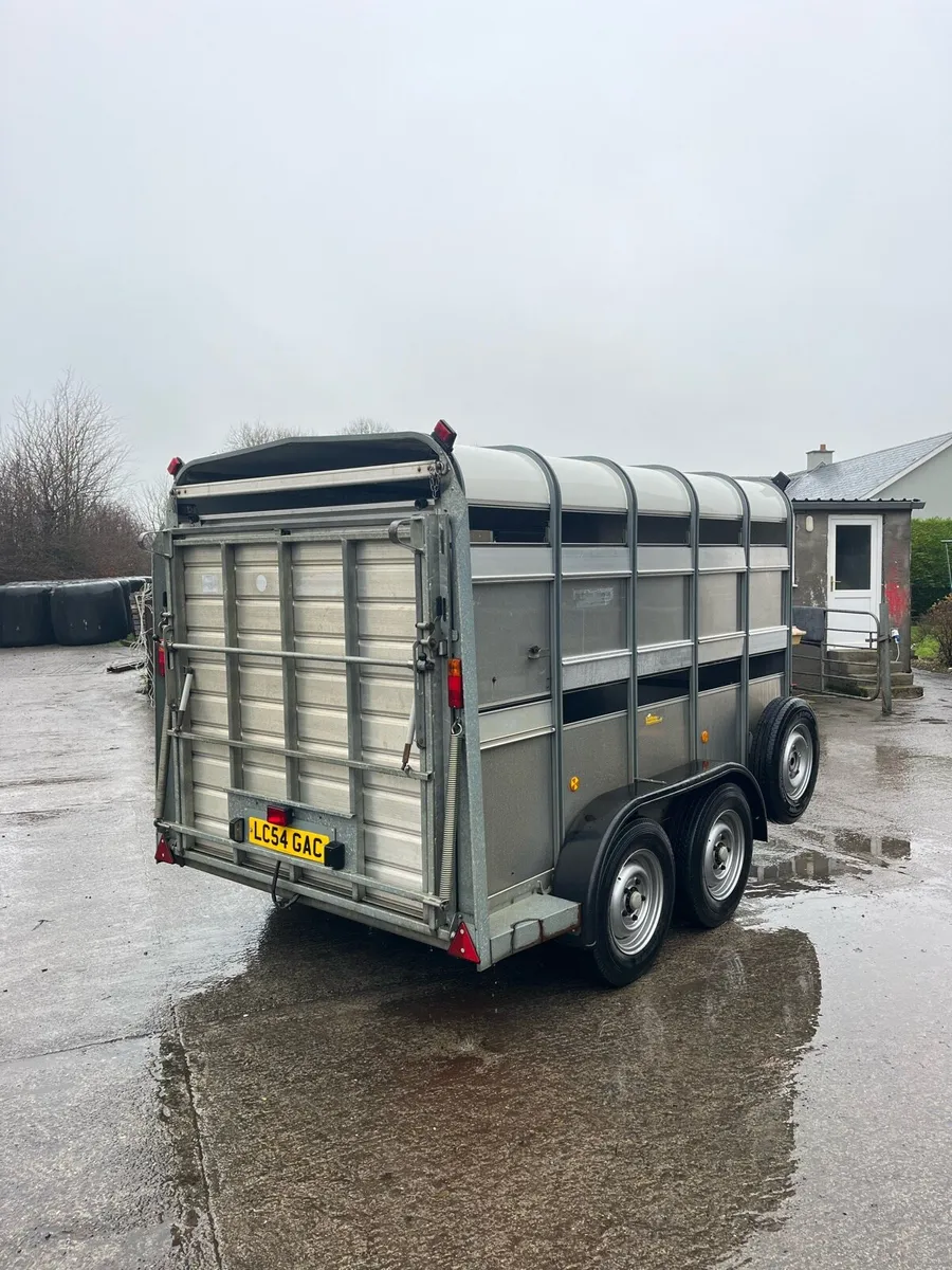 CJS Ifor Williams Sheep Trailer - Image 3