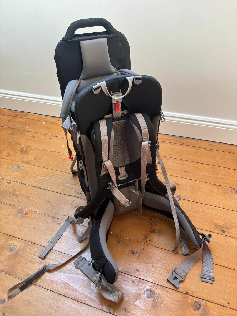 Baby/toddler back carrier - Image 2