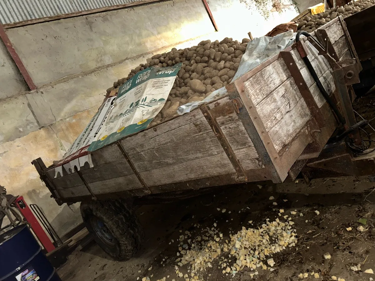 For sale trailers 10x 6 - Image 3