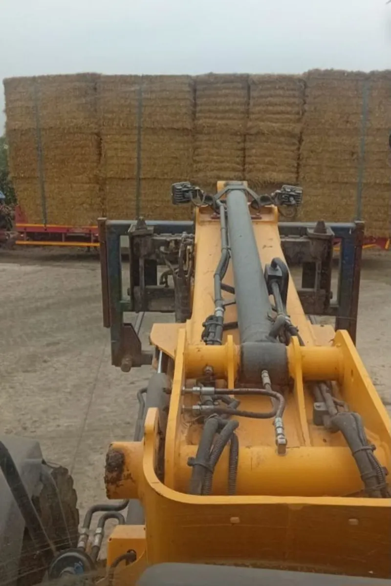 Straw / Hay / Silage Bales - Image 1