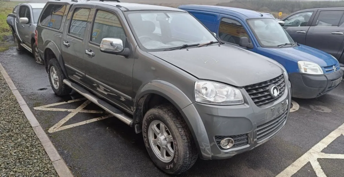 Great Wall steed - Image 3