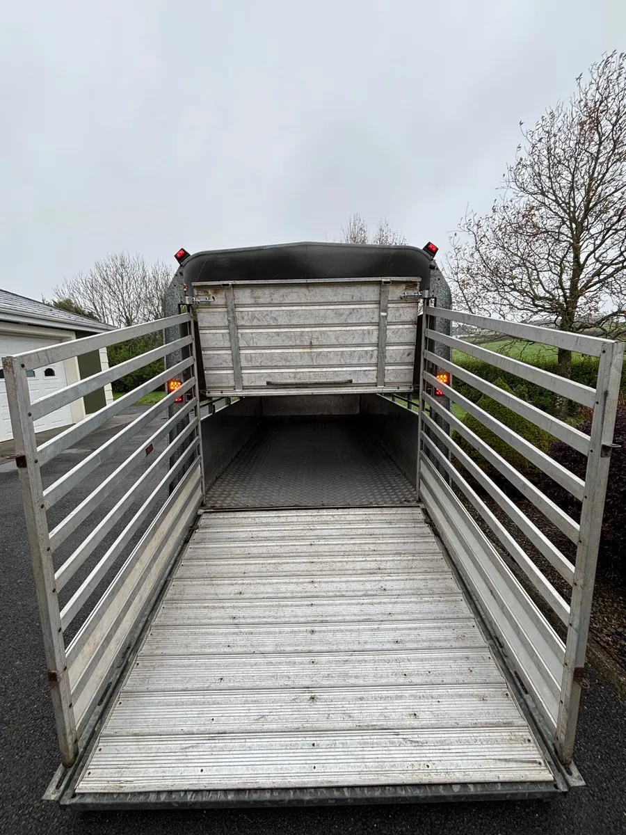 Ifor williams 12x6 cattle box - Image 3