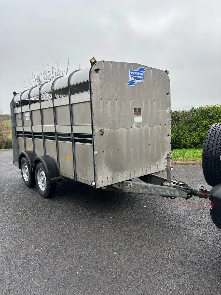 Ifor williams 12x6 cattle box - Image 1