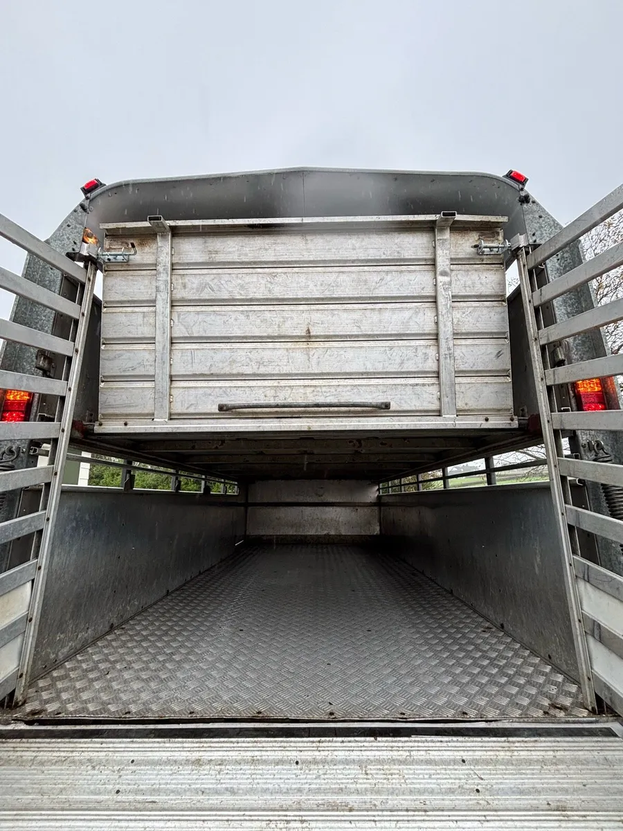 Ifor williams 12x6 cattle box - Image 4