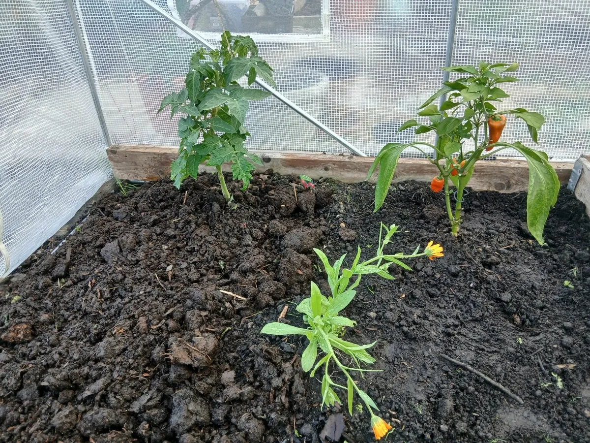 Land Wanted for Crops - Image 1