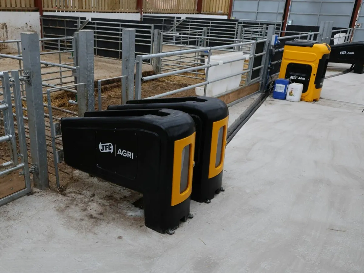 Automatic Calf Feeding - Image 4
