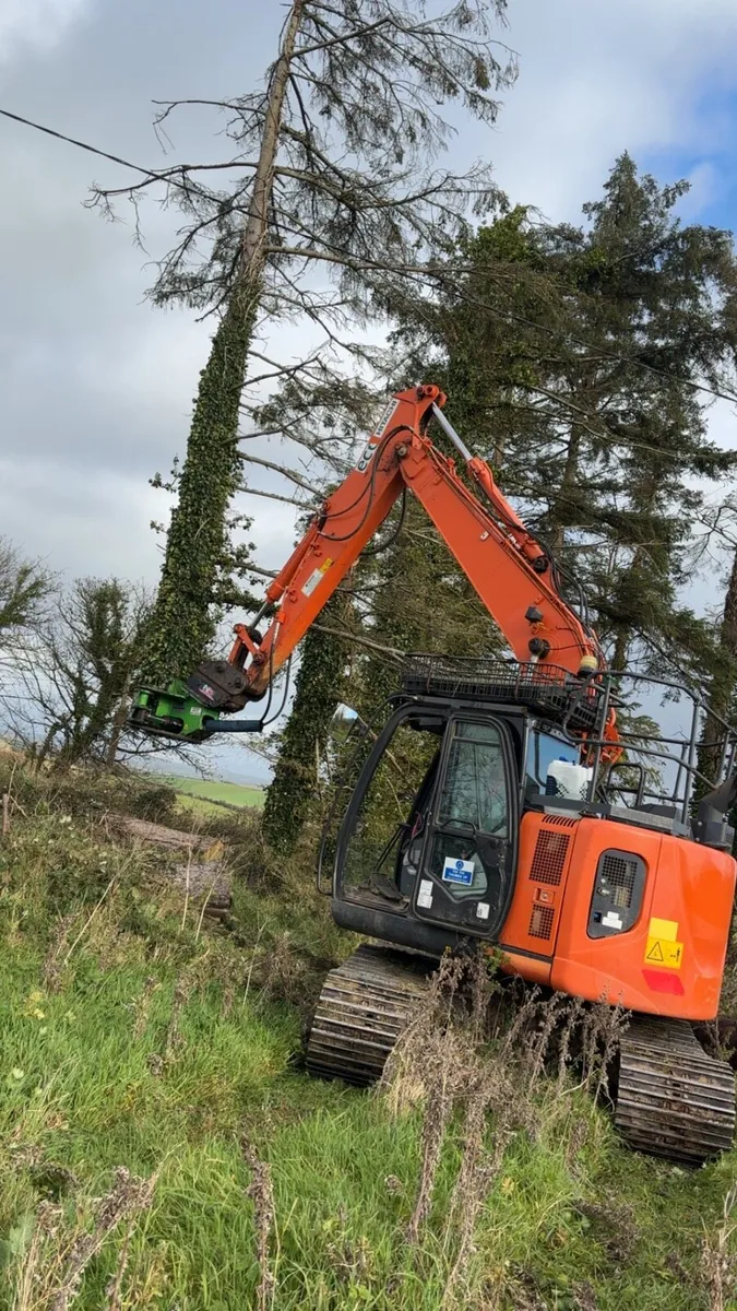 Tree maintenance and removals - Image 1