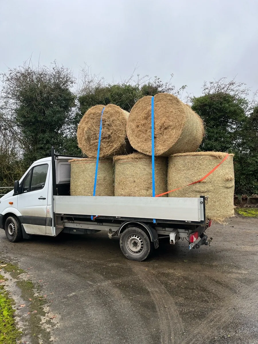 Round bales hay and haylage - Image 4