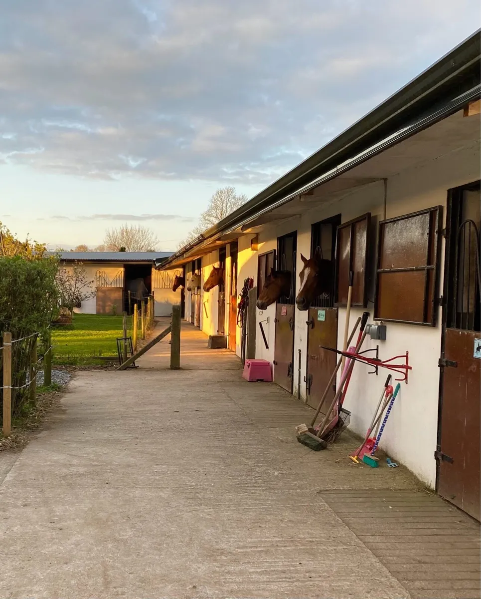 Livery space available - Image 1
