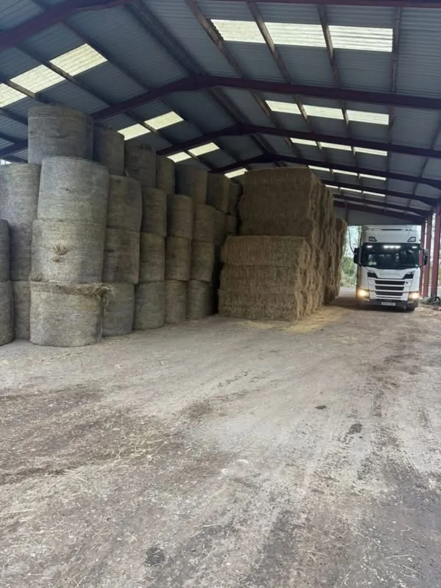 Truck driver needed Class 1 - Image 4