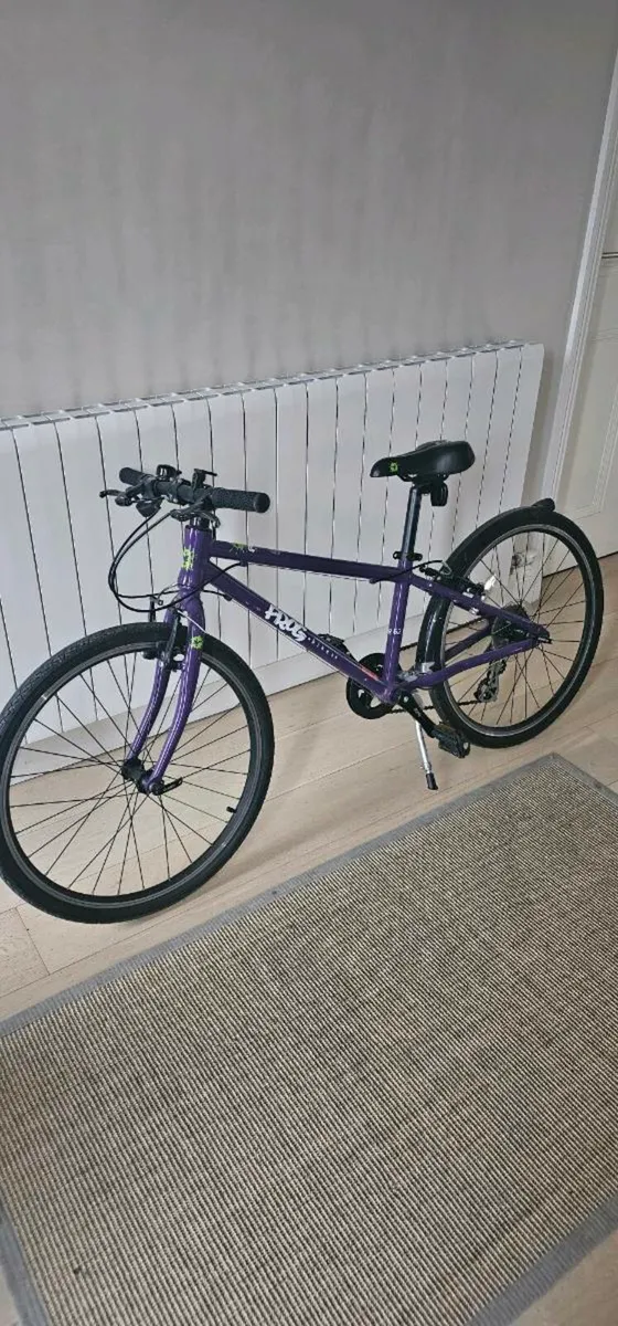 24 inch Frog bike - Image 2