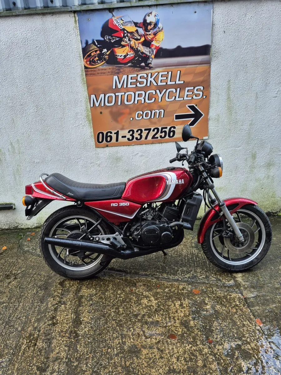 RD 350's for sale - Image 3
