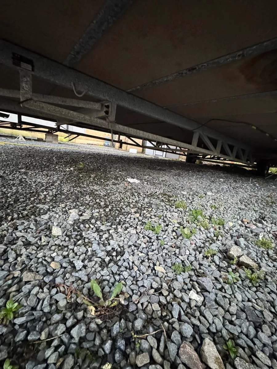 Cosalt Albany 36x12 3 Bedrooms - Image 2