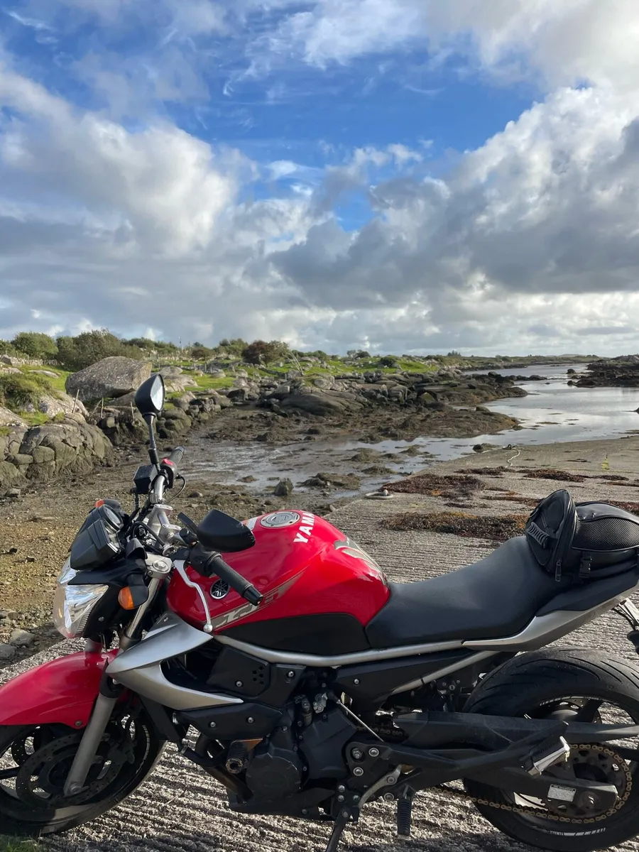 Yamaha XJ6 - 2010 - Image 2