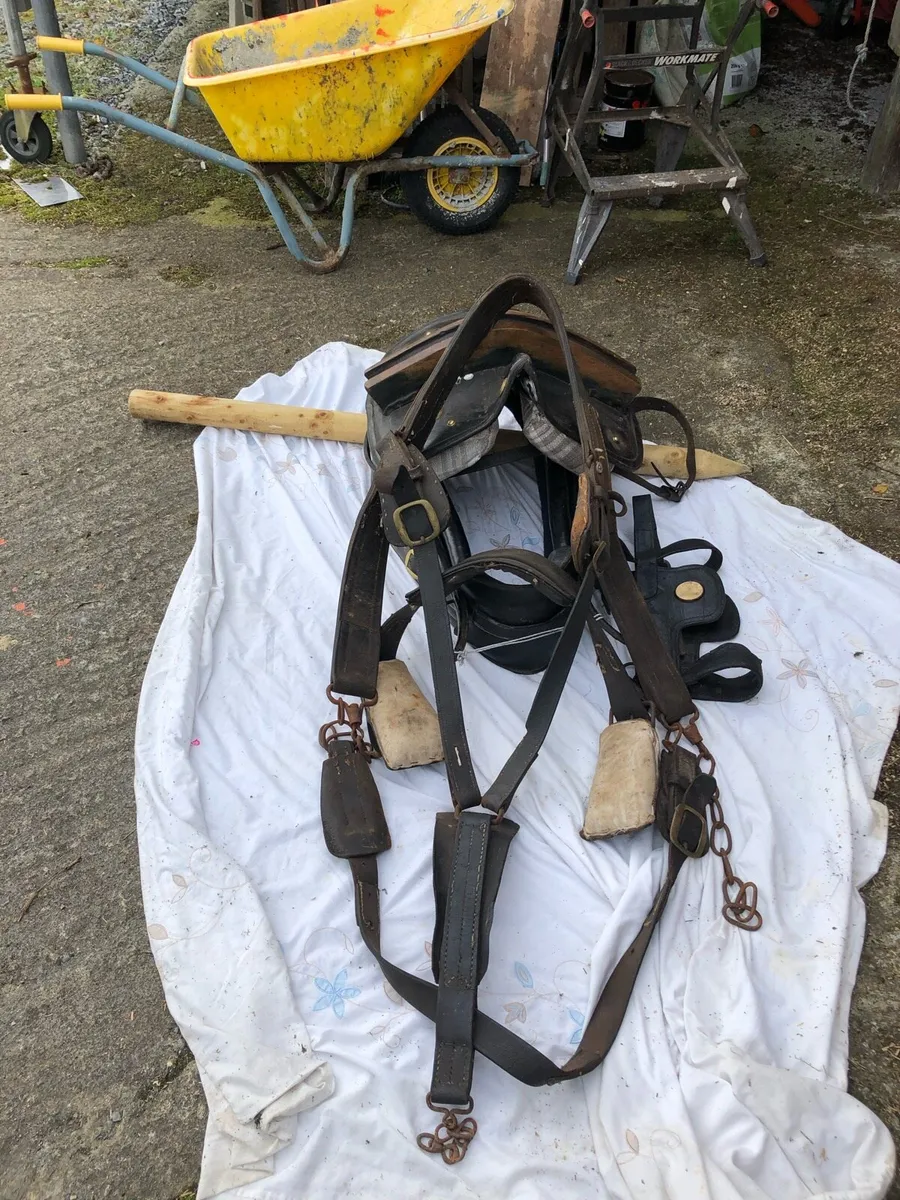 Driving Equipment - Image 2