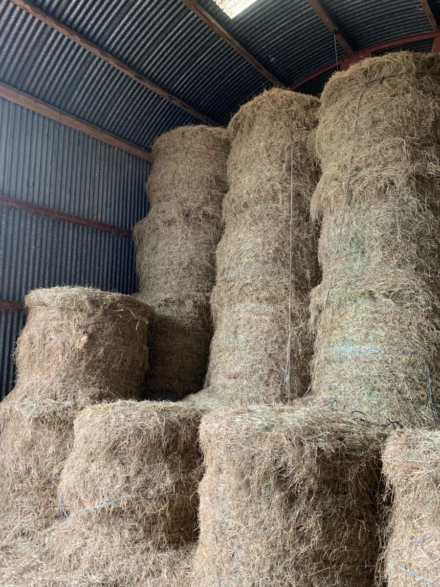 Round & Square Bales of Hay - Image 3