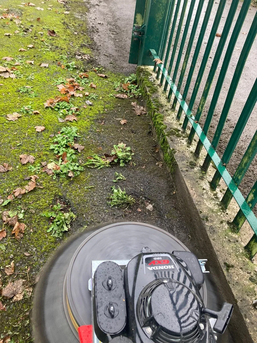 Gardening Maintenance - Image 2