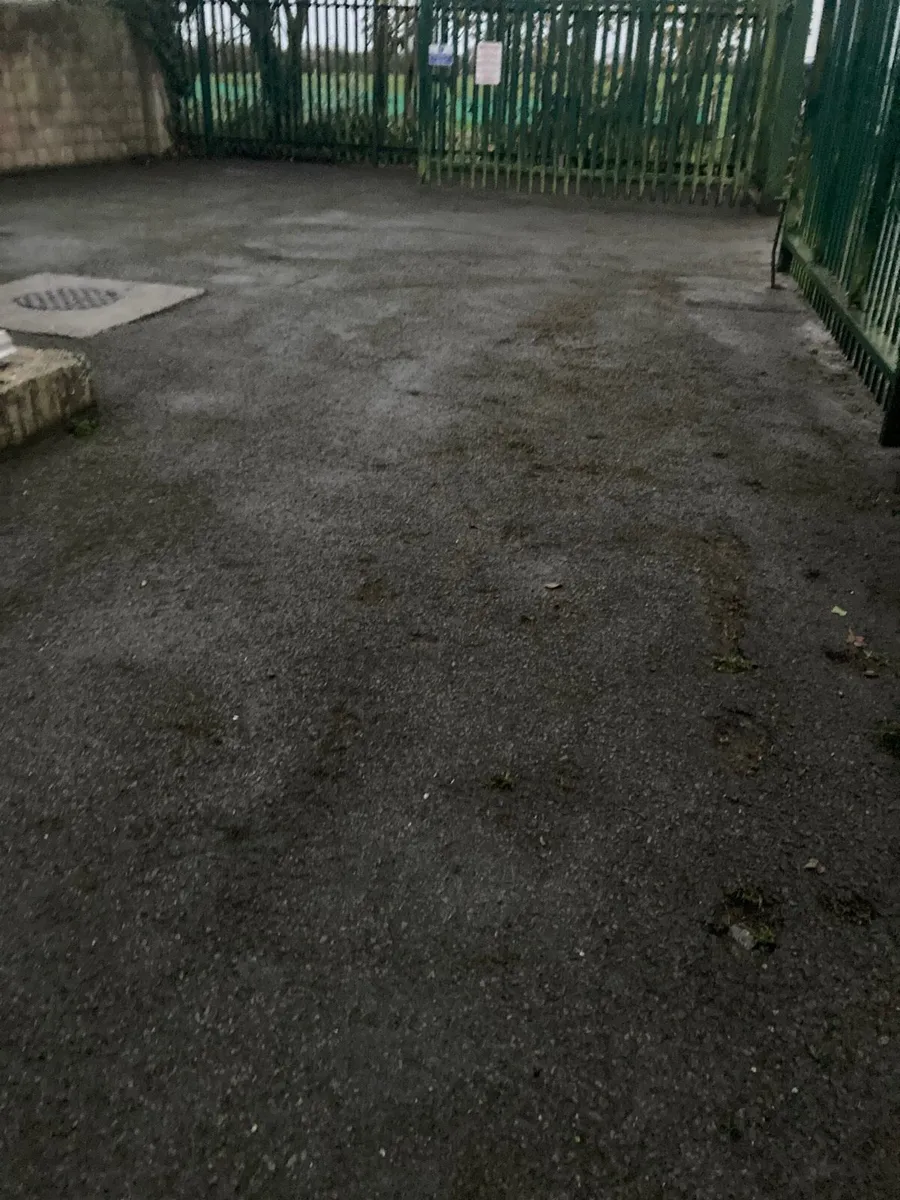 Gardening Maintenance - Image 3