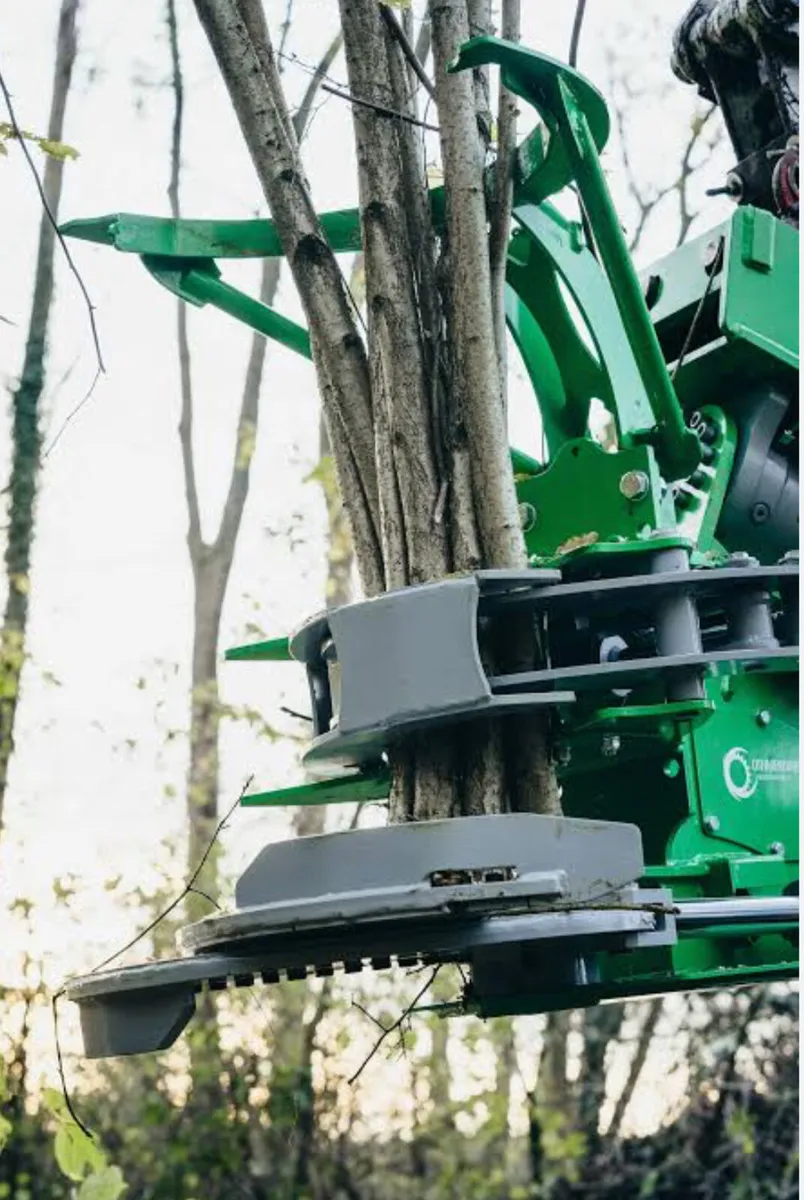 Attachment Hire ,Tree Master Cuts 14” - Image 2