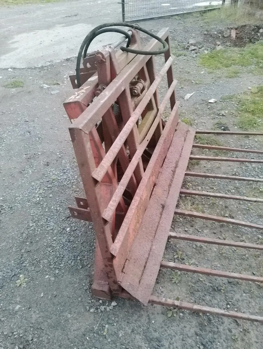 Push off Buckrake 6'6" - Image 4