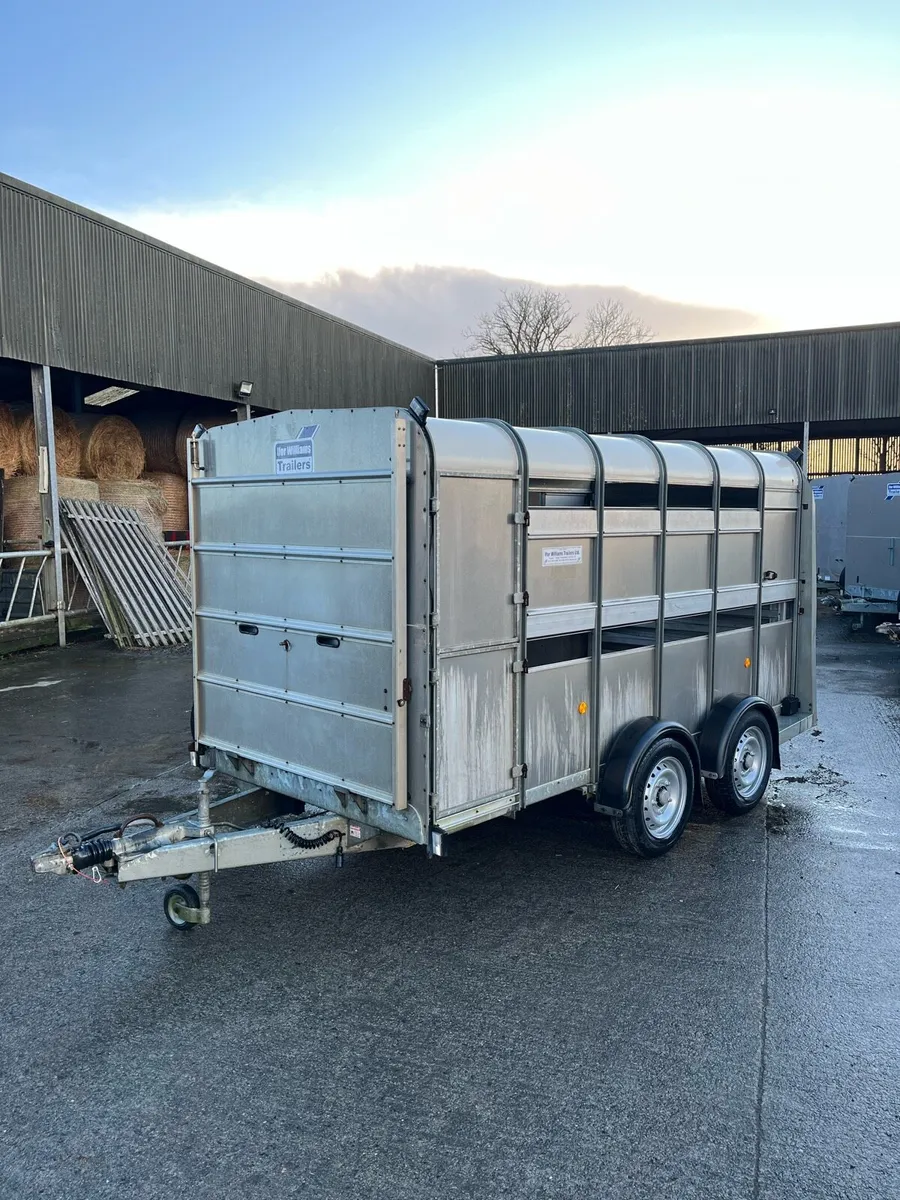CJS Ifor Williams Livestock Trailer - Image 2