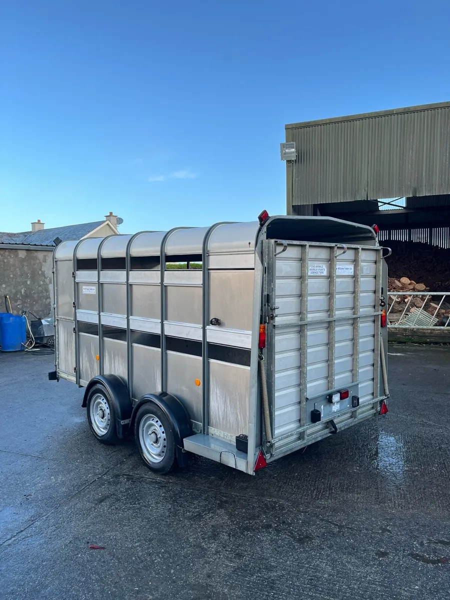 CJS Ifor Williams Livestock Trailer - Image 3