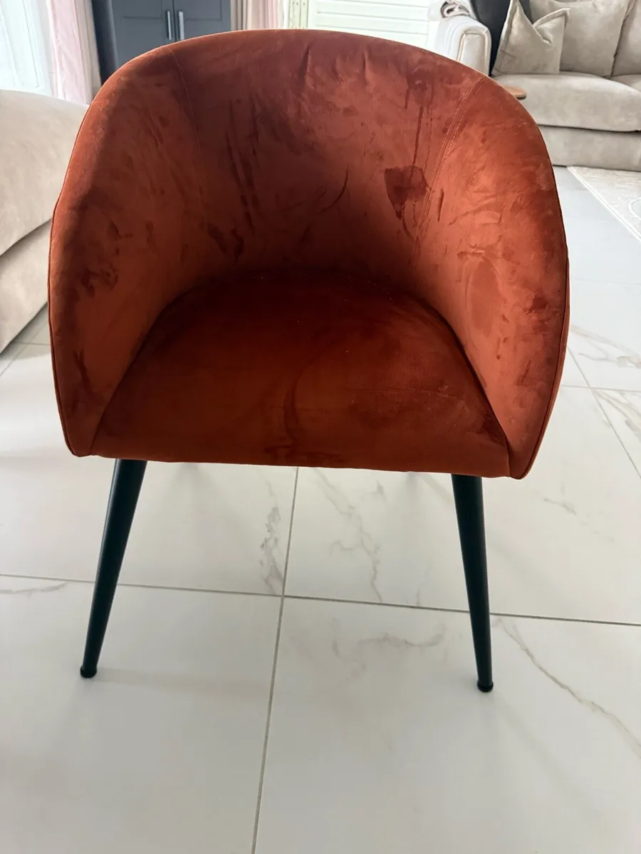 Dining chairs - Image 1