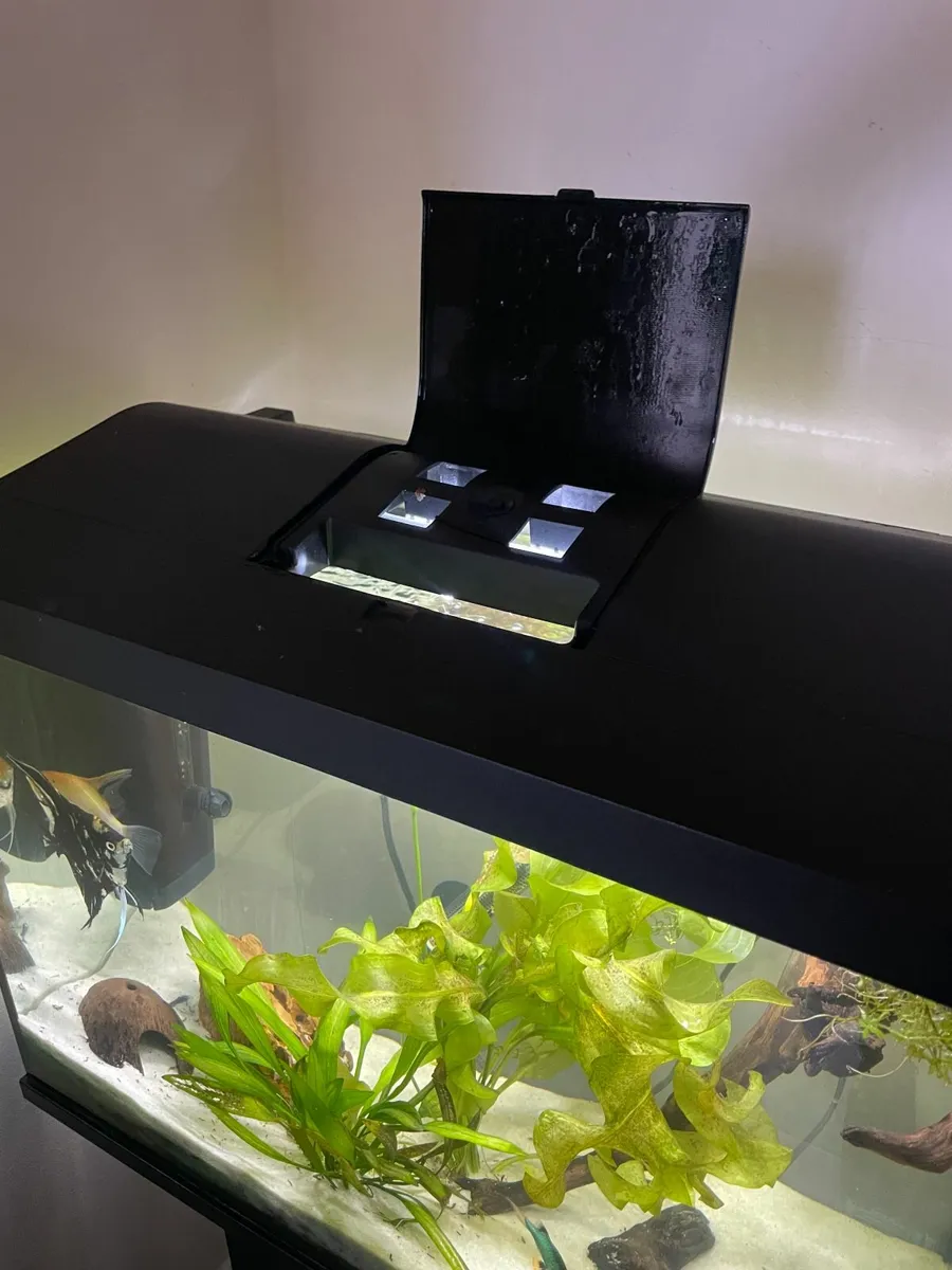 72 L fish tank - Image 3