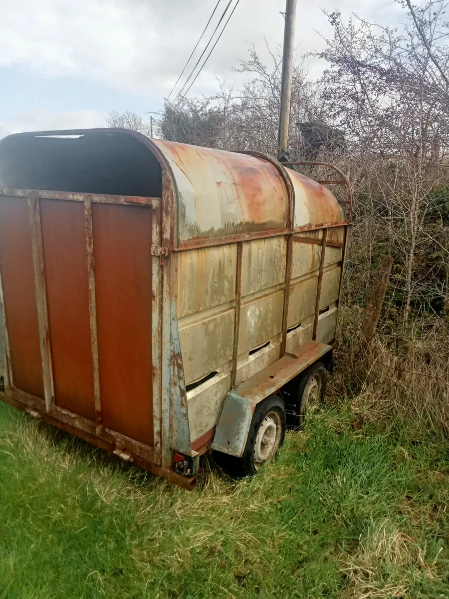 Cattle Trailer - Image 2