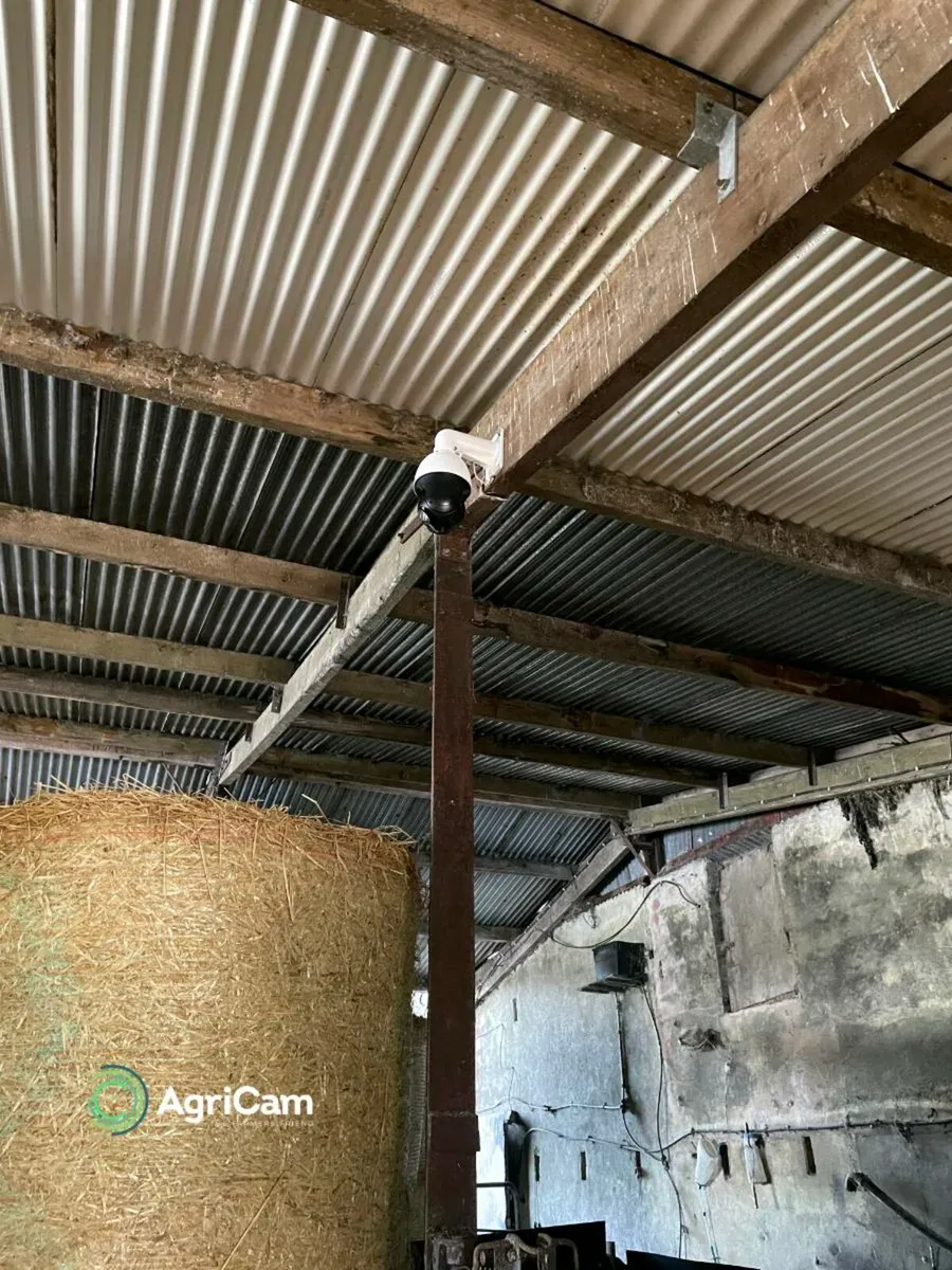 Calving, Lambing and Foaling Cameras - Image 4