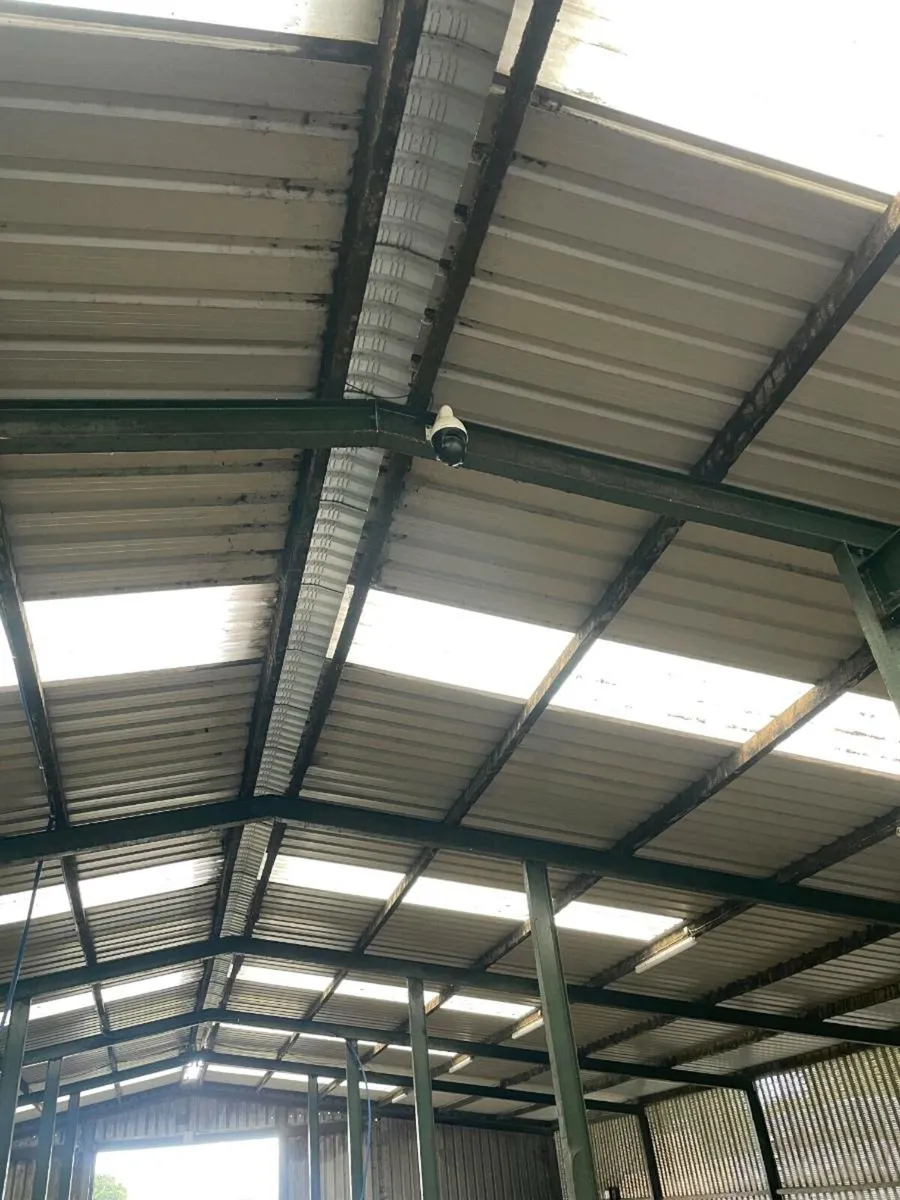 Calving Cameras - Image 4