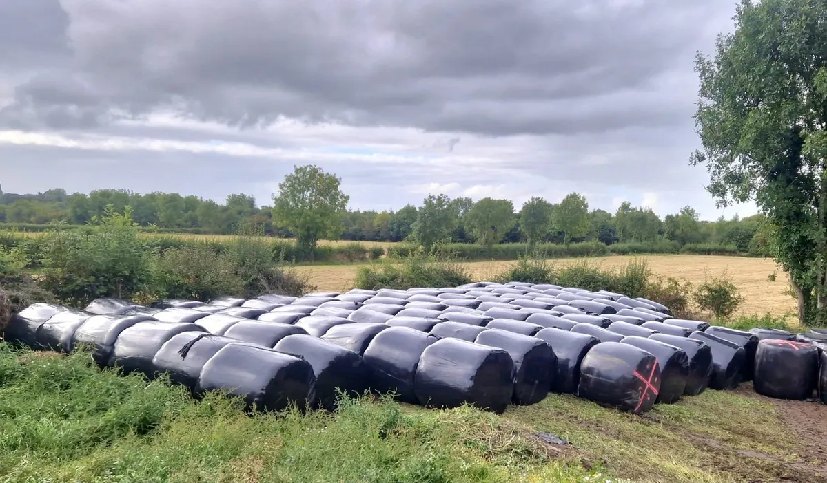 Silage for sale near tipperary town - Image 4