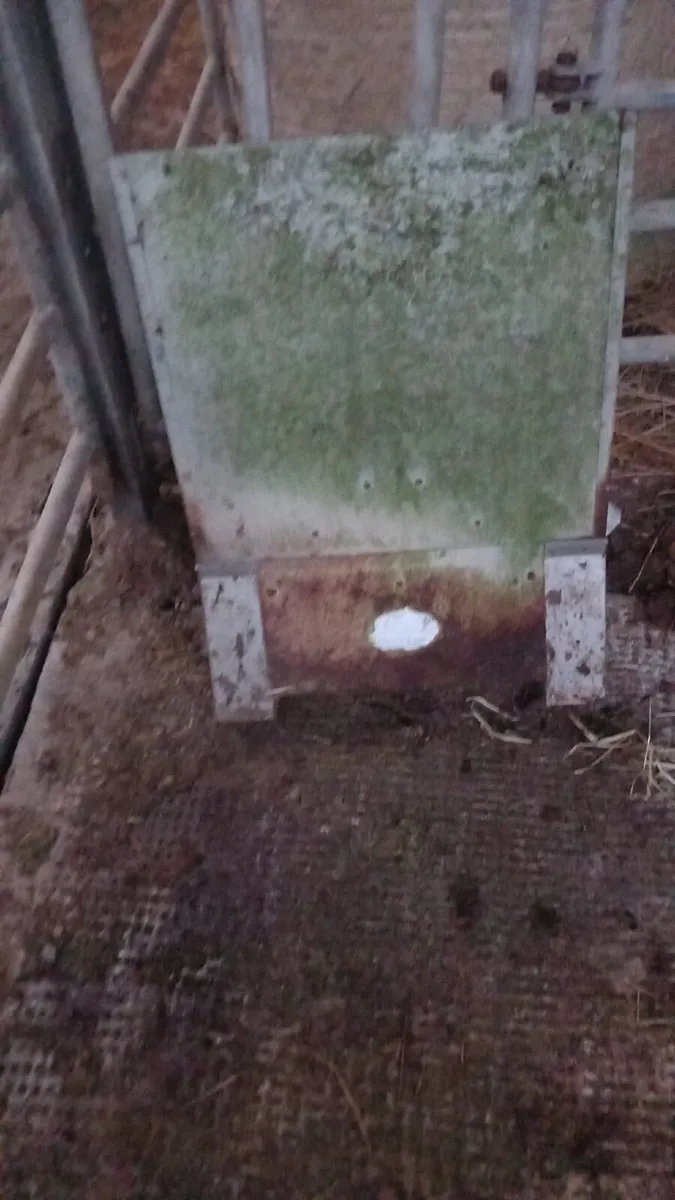 Power Feeders - Image 2