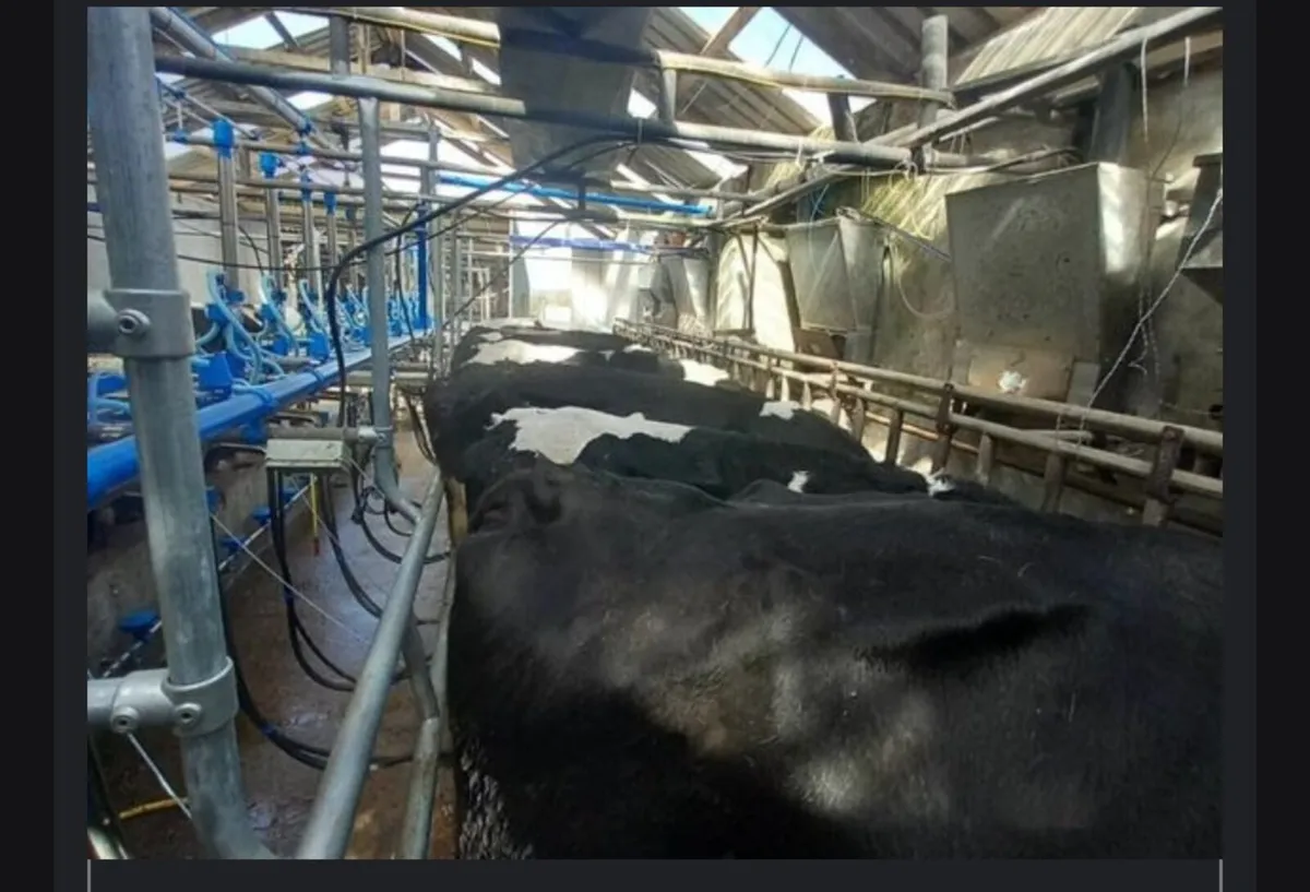 Power Feeders - Image 1