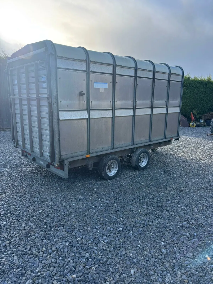 Ifor Williams Cattle Trailer - Image 1