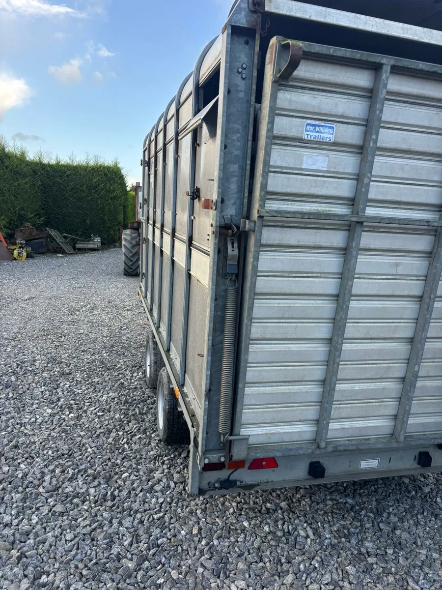 Ifor Williams Cattle Trailer - Image 3