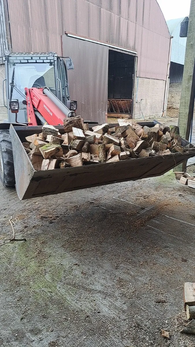 Firewood - Image 2
