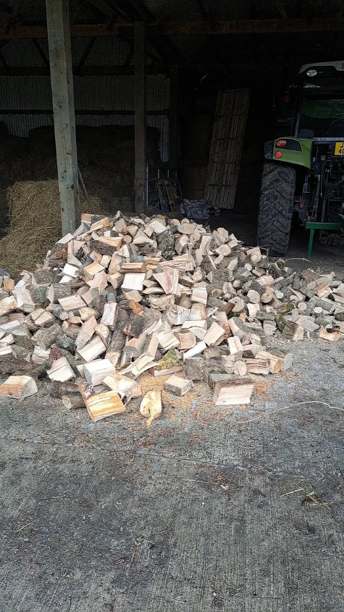 Firewood - Image 3