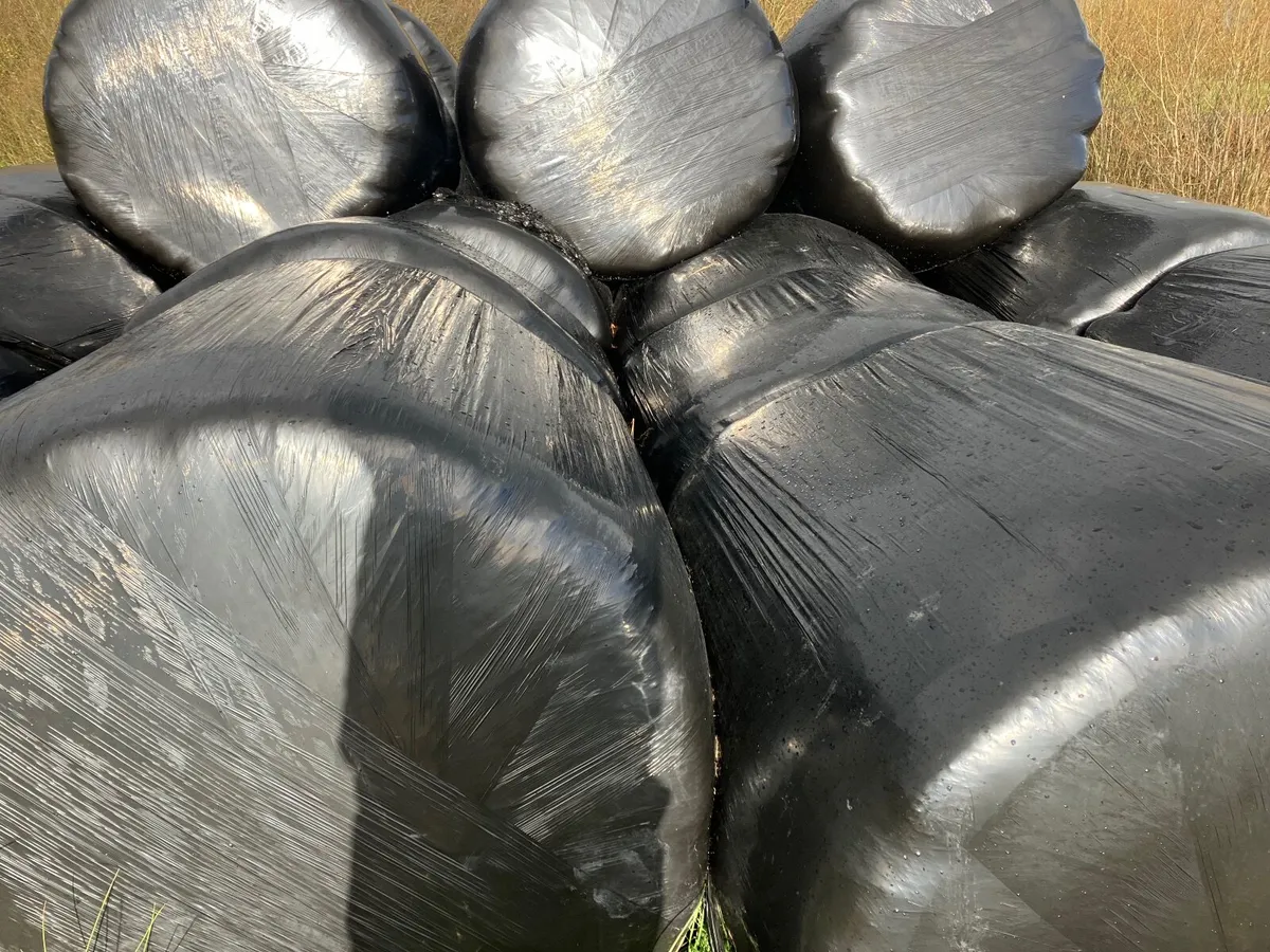 100 silage bales - Image 1