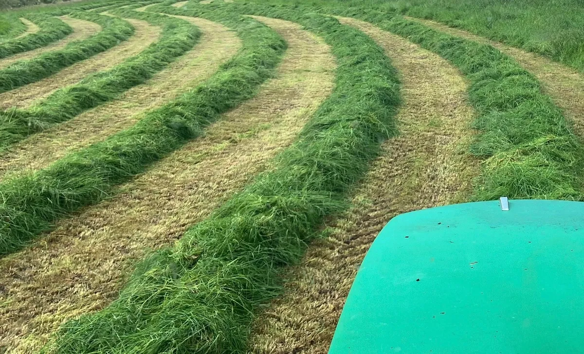 100 silage bales - Image 3