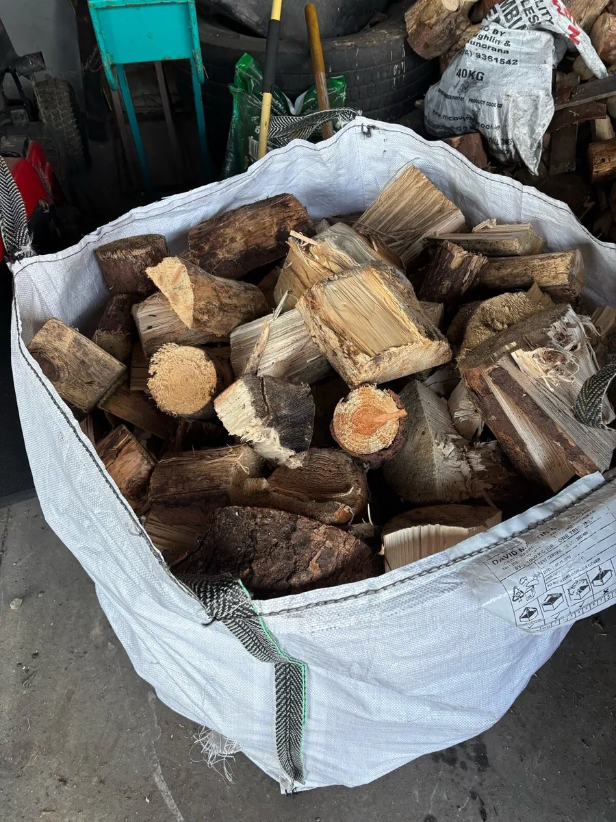 Firewood - Image 2