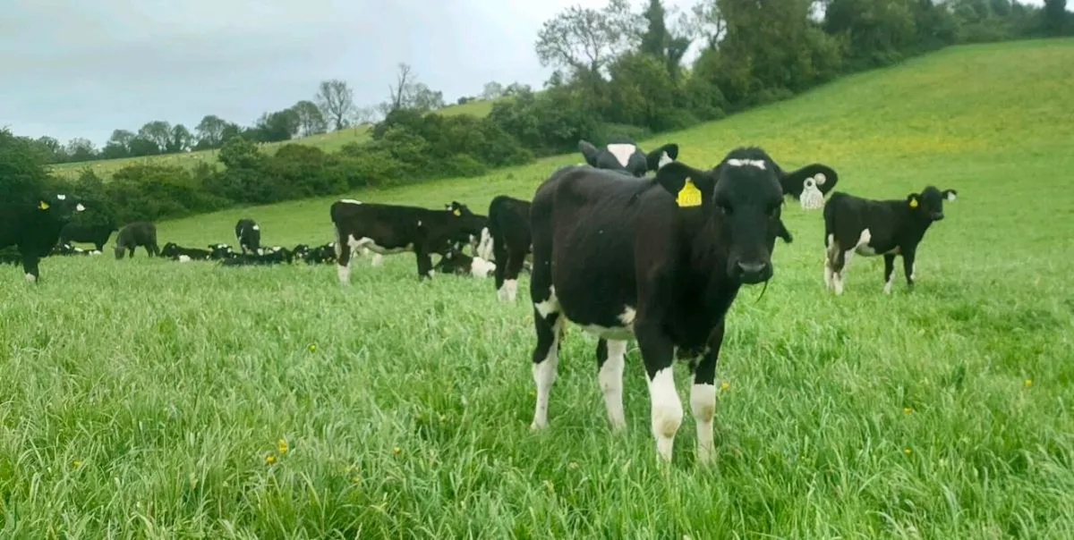 Breeding Plans and Independent Genetic Advice - Image 3