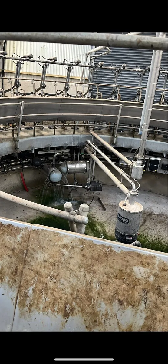 40unit Waikato milking machine rotary - Image 3